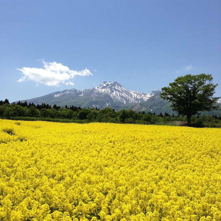 Hotel Alpen Blick Myoko Bagian luar foto